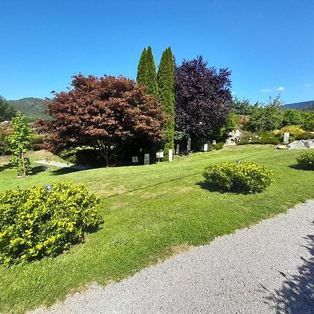 Chalet De Grettery Saulxures-sur-Moselotte Esterno foto