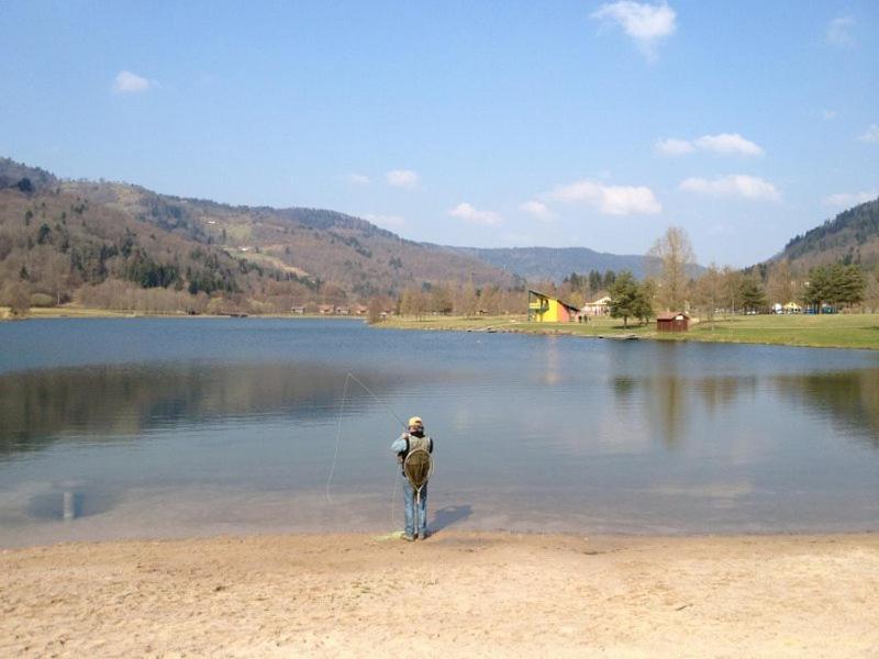 Chalet De Grettery Saulxures-sur-Moselotte Esterno foto